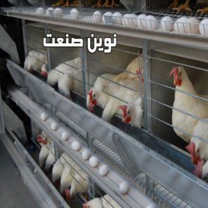 تولید تجهیزات مرغداری در قزوین