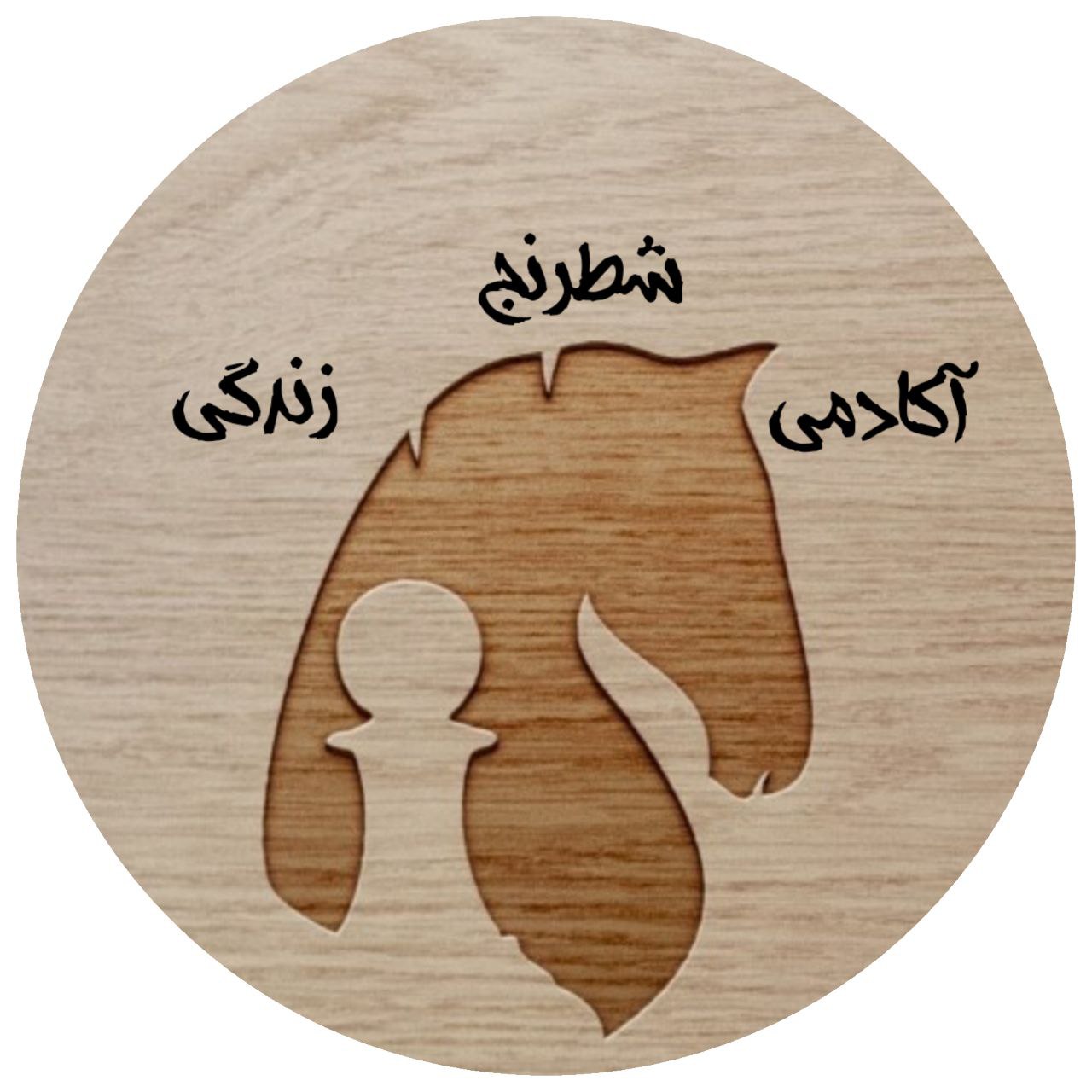 آکادمی شطرنج زندگی