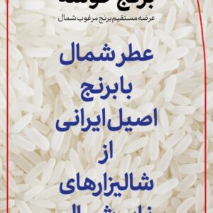 عرضه برنج شمال